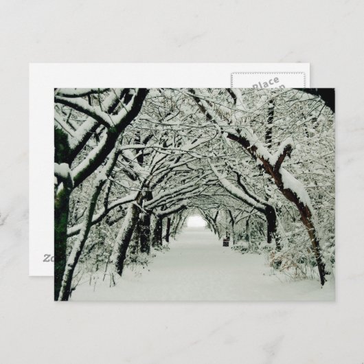 Winter im Heaton Park Postkarte (Vorne/Hinten)