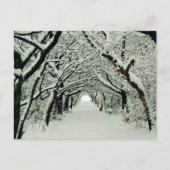 Winter im Heaton Park Postkarte (Vorderseite)