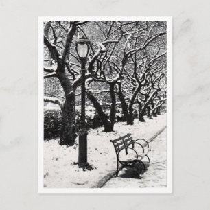 Winter im Park - Postkarte