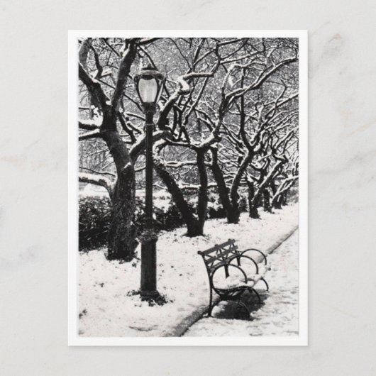 Winter im Park - Postkarte (Vorderseite)