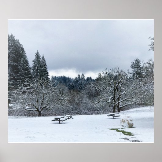 Winter im Park, Wilsonville, OR Poster (Vorne)