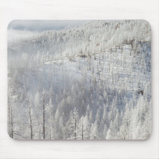 Winter im Pike-Nationalwald Mousepad (Vorne)