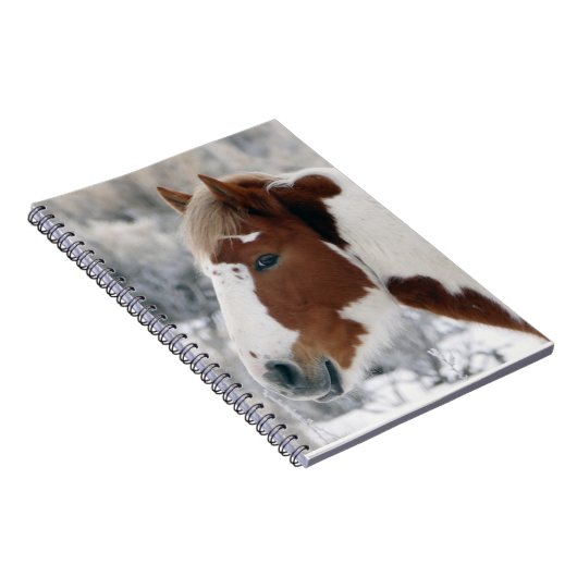 Winter im Sandwaschbecken Notizblock (Rechte Seite)