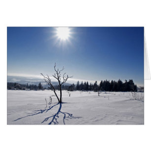 Winter im Schwarzwald