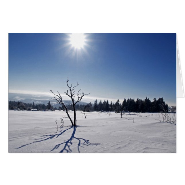 Winter im Schwarzwald (Vorderseite (Horizontal))