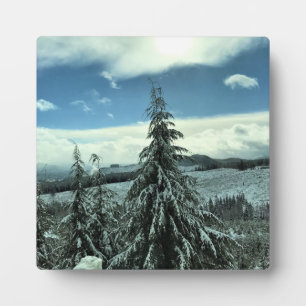 Winter im Tillamook Staat Forest, Oregon Fotoplatte