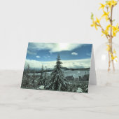 Winter im Tillamook Staat Forest, Oregon Karte (Gelbe Blume)