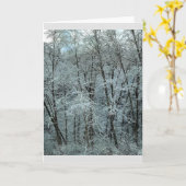 Winter im Tillamook Staat Forest, Oregon Karte (Gelbe Blume)