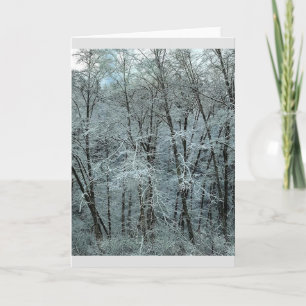 Winter im Tillamook Staat Forest, Oregon Karte