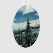 Winter im Tillamook Staat Forest, Oregon Ornament (Vorderseite)