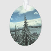 Winter im Tillamook Staat Forest, Oregon Ornament (Vorderseite)