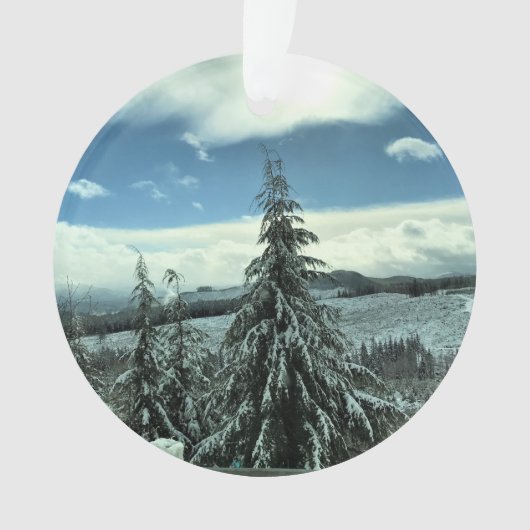 Winter im Tillamook Staat Forest, Oregon Ornament (Vorderseite)