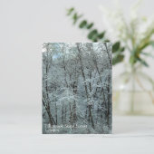 Winter im Tillamook Staat Forest, Oregon Postkarte (Stehend Vorderseite)