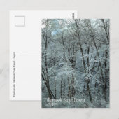 Winter im Tillamook Staat Forest, Oregon Postkarte (Vorne/Hinten)
