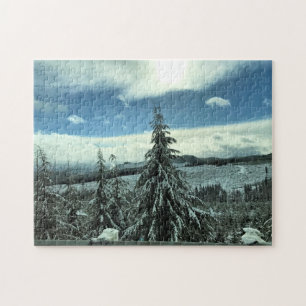 Winter im Tillamook Staat Forest, Oregon Puzzle