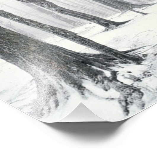 Winter im Wald Fotodruck (Ecke)