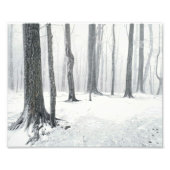 Winter im Wald Fotodruck (Vorne)