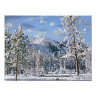 Winter im Yellowstone Nationalpark, Wyoming Fotodruck