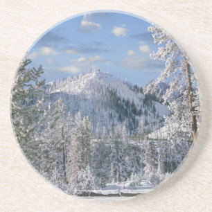 Winter im Yellowstone-Nationalpark, Wyoming Untersetzer
