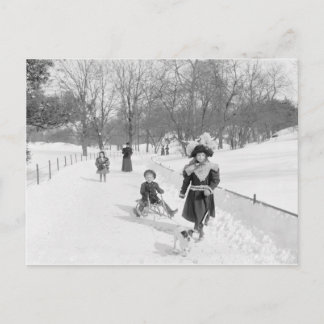 Winter im Zentralpark, 1900 Postkarte