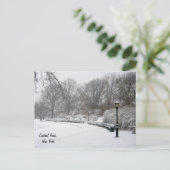 Winter im Zentralpark Postkarte (Stehend Vorderseite)