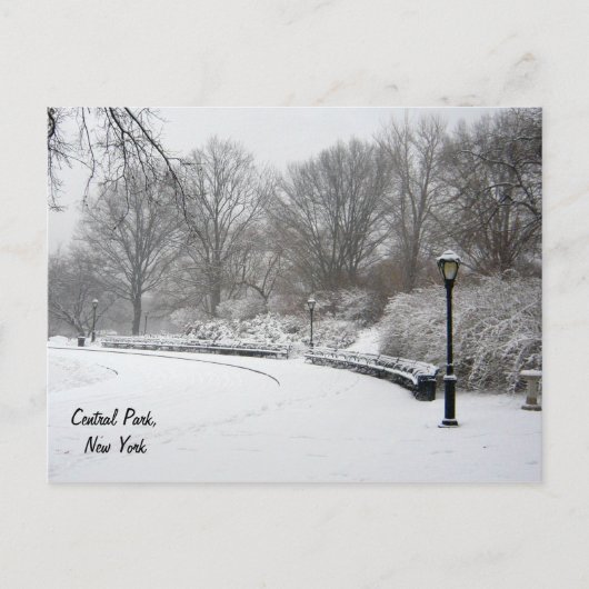 Winter im Zentralpark Postkarte (Vorderseite)