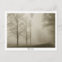 Winter in Buzau