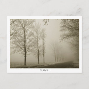 Winter in Buzau Postkarte