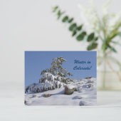 Winter in Colorado Postkarte (Stehend Vorderseite)