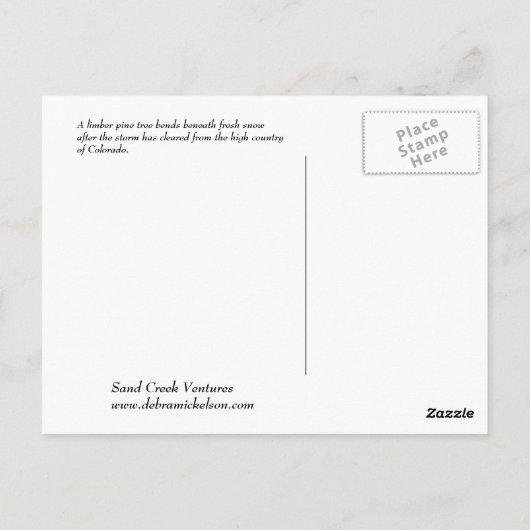 Winter in Colorado Postkarte (Rückseite)