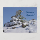 Winter in Colorado Postkarte (Vorderseite)