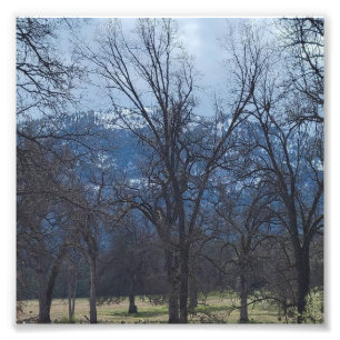 Winter in den Yosemite-Ausläufern Fotodruck