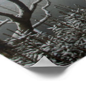 Winter in der Macclesfield-Waldkarte Poster (Ecke)