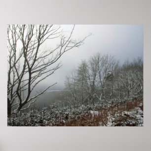 Winter in der Macclesfield-Waldkarte Poster