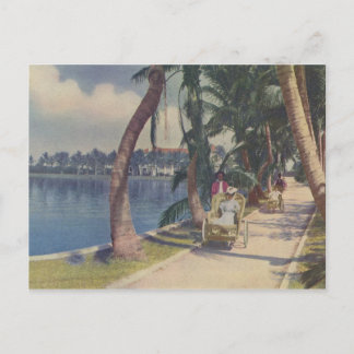 Winter in Florida, 1908 Postkarte