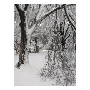 Winter in Lafayette Square, Washington, DC Fotodruck