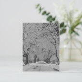 Winter in Nebraska Postkarte (Stehend Vorderseite)