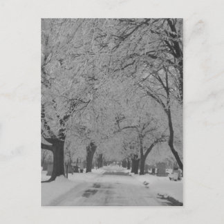 Winter in Nebraska Postkarte