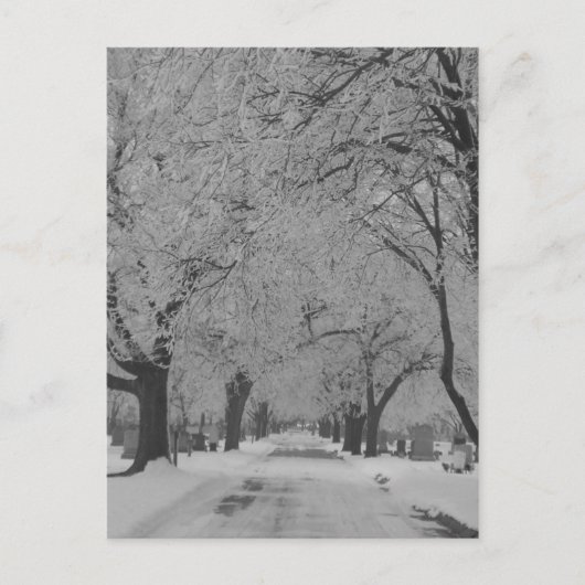 Winter in Nebraska Postkarte (Vorderseite)