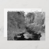 Winter in New England Postkarte (Vorne/Hinten)