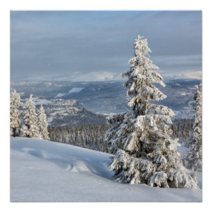 Winter in Norwegen Poster