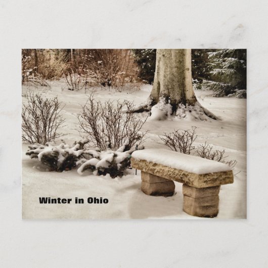Winter in Ohio Postkarte (Vorderseite)