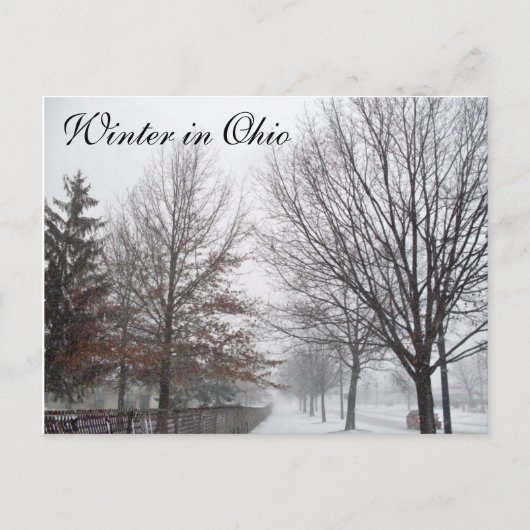 WINTER IN OHIO Postkarte (Vorderseite)