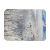 Winter in Pike National Forest Magnet (Horizontal)