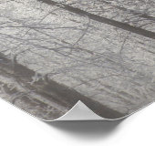 Winter in Pike National Forest Poster (Ecke)