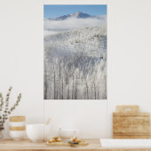 Winter in Pike National Forest Poster (Küche)