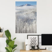 Winter in Pike National Forest Poster (Heimbüro)
