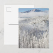 Winter in Pike National Forest Postkarte (Vorne/Hinten)