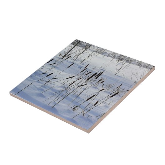 Winter in Quebec, Kanada Fliese (Seite)