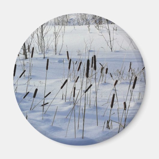 Winter in Quebec, Kanada Magnet (Vorne)